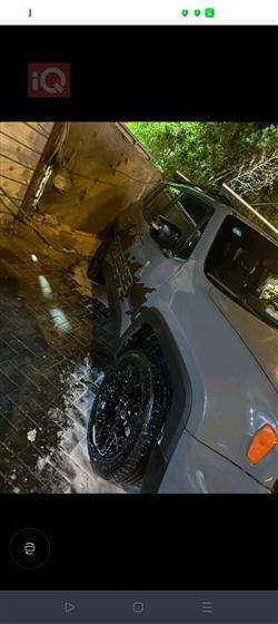 جيب رينيجيد